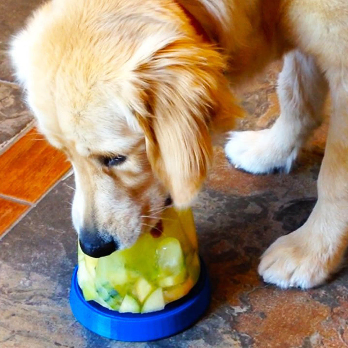 Doggie Cone DIY Frozen Dog Treat Maker – photo 1 of 4