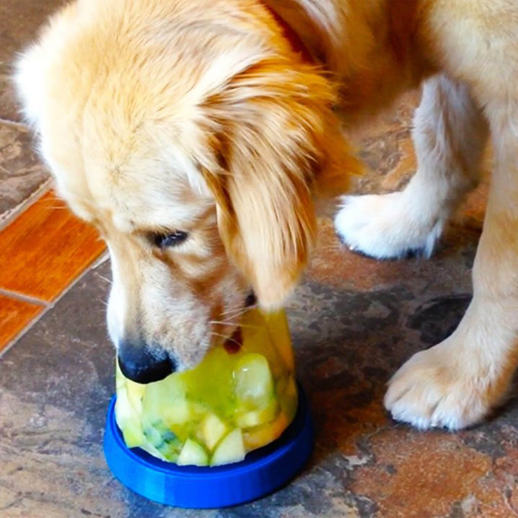 Doggie Cone DIY Frozen Dog Treat Maker – photo 4 of 4