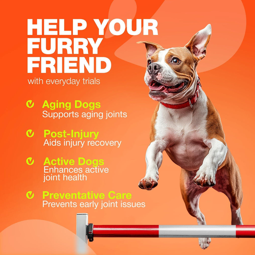 Glucosamine Joint Supplement for Dogs – Hip & Mobility Chews – alternate view 4
