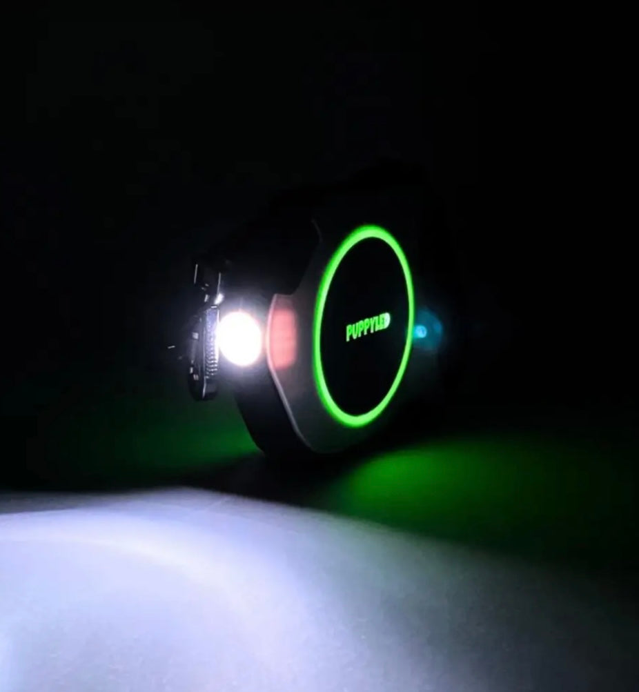 LED Retractable Dog Leash with Flashlight – alternate view 3