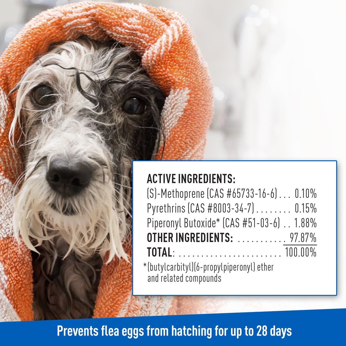 Keep Your Dog Happy and Flea-Free with Adams Plus Flea  Tick Foaming S, view 9