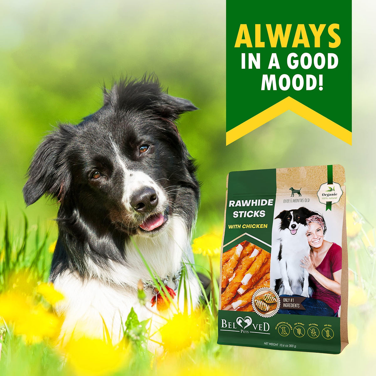 Rawhide Sticks for Dogs Chicken-Wrapped Grain-Free – photo 7 of 7