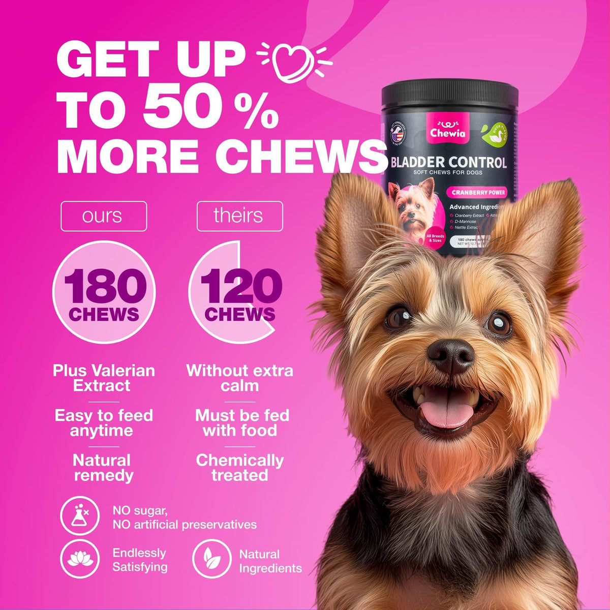 Cranberry bladder support chews for dogs – urinary tract and kidney health supplement – photo 6 of 9