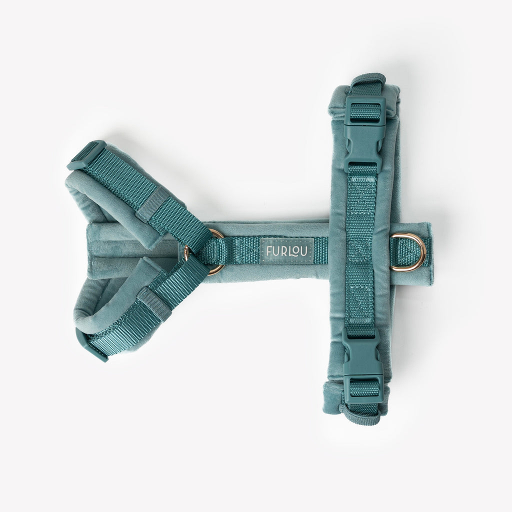 Blue Velvet Dog Harness, alternate view