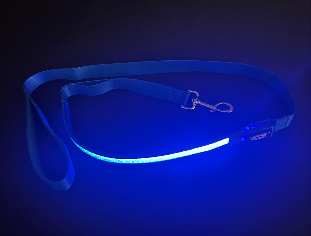 Light Up LED Dog Leash: Blue – front view