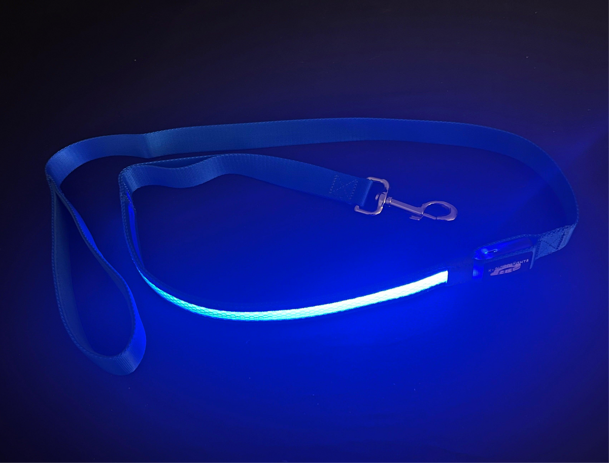 Light Up LED Dog Leash: Blue – front view