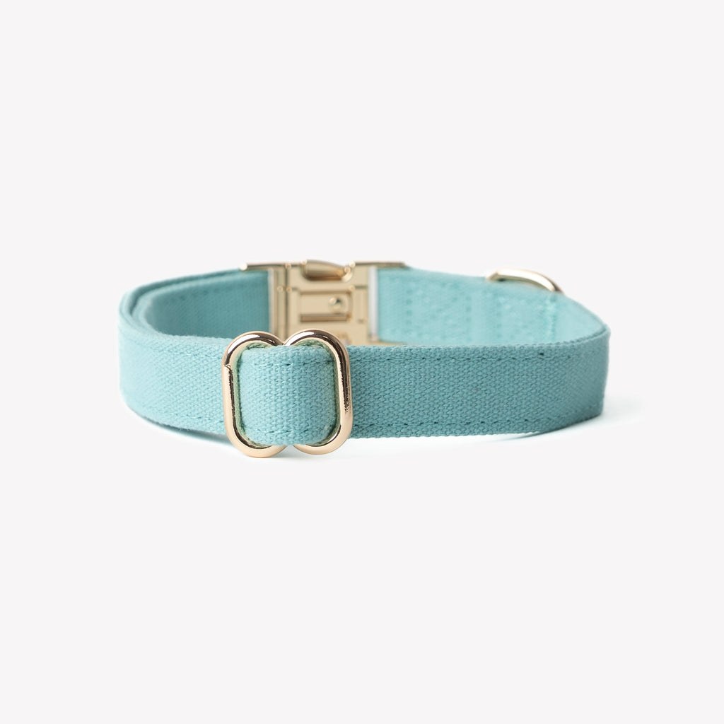 Blue Canvas Dog Collar, alternate view