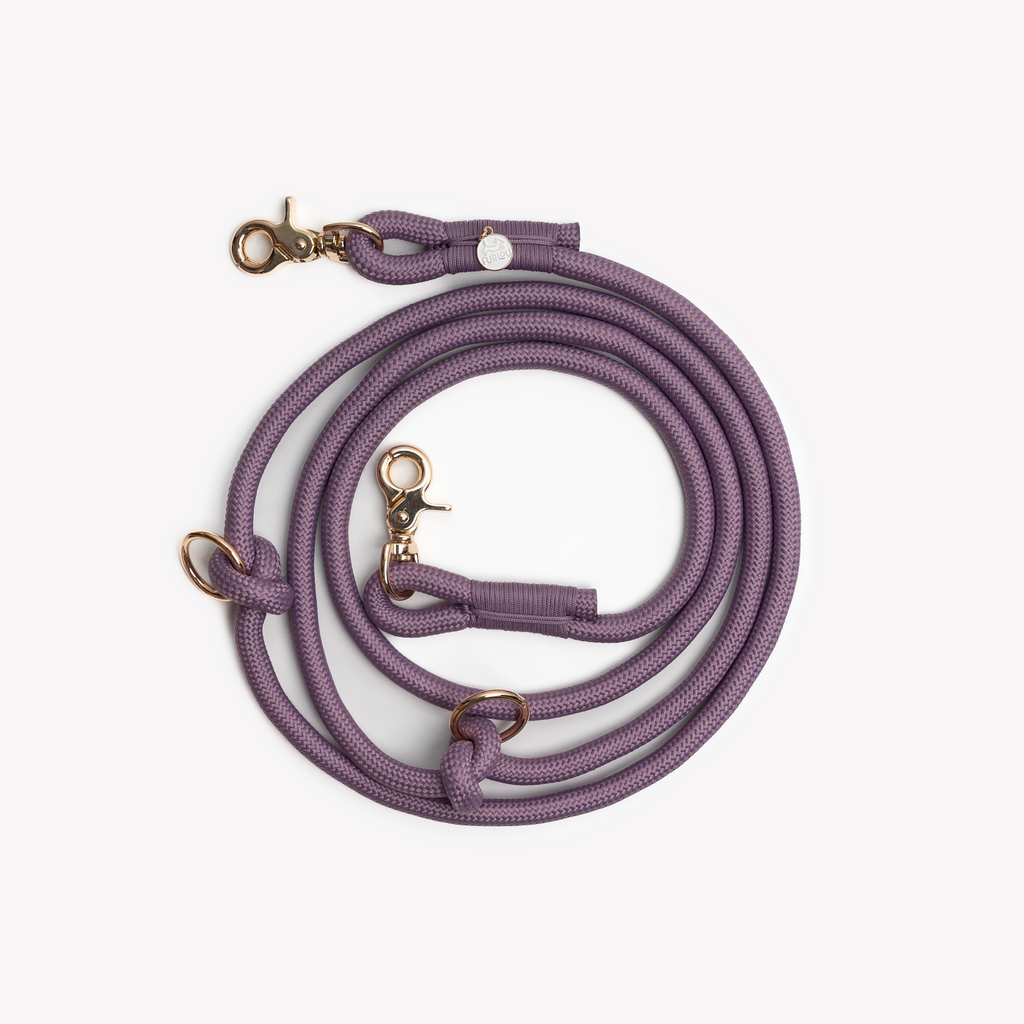 Lilac Hands Free Braided Leash, alternate view