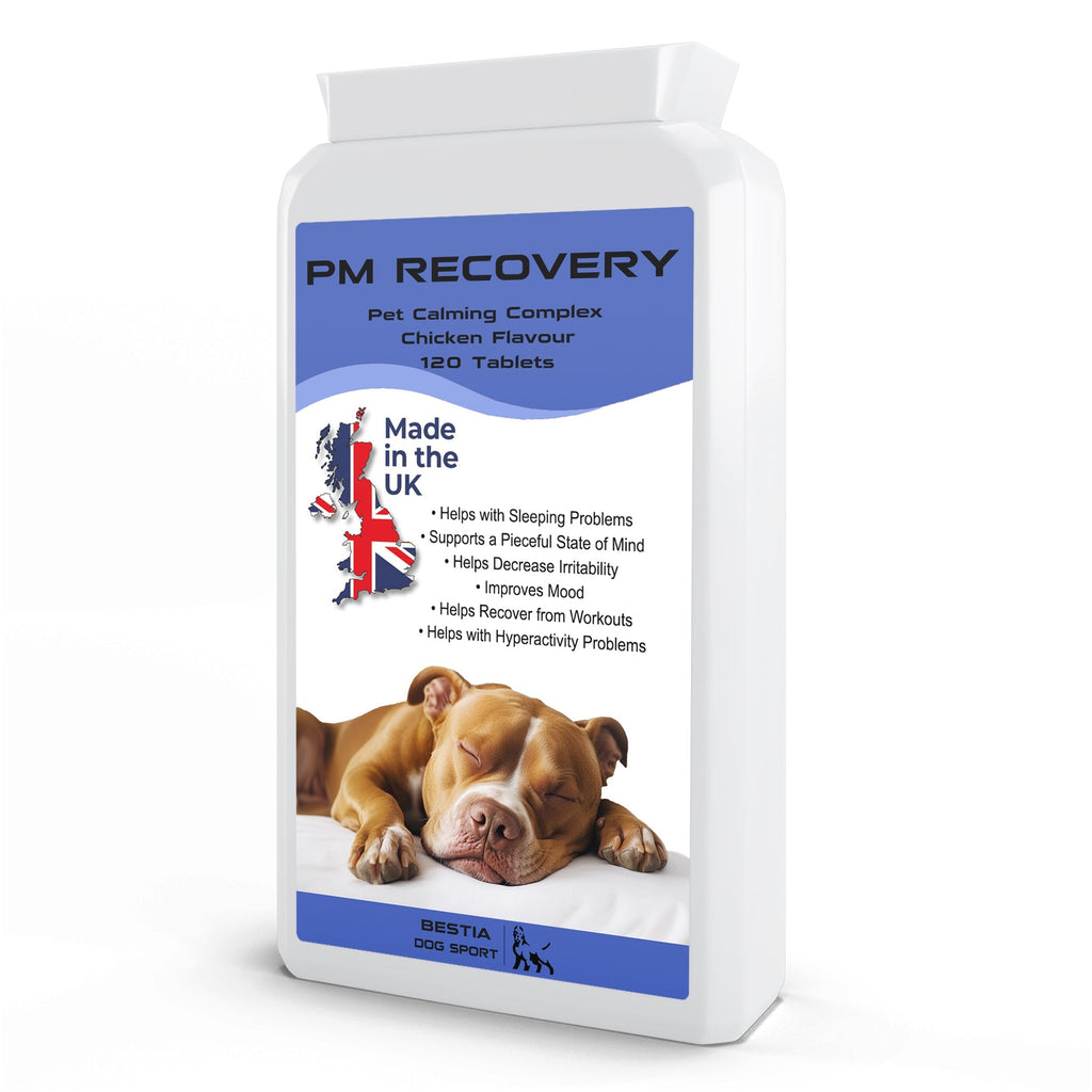 BDS PM Recovery Dog Supplement – Calm & Recovery – front view