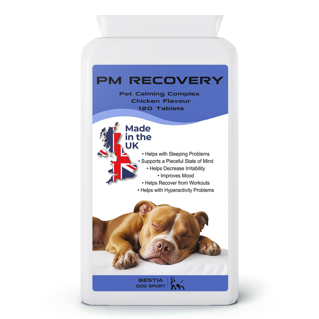 BDS PM Recovery Dog Supplement – Calm & Recovery – alternate view 2