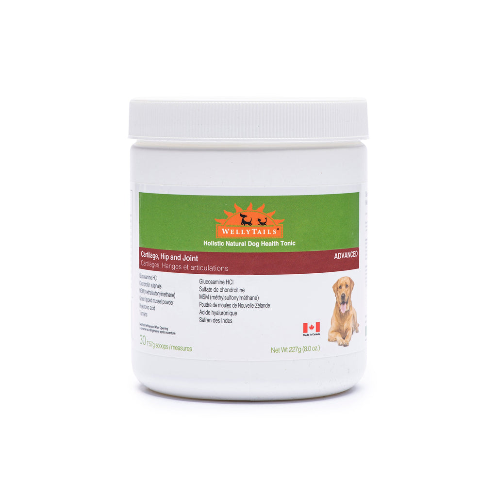 WellyTails Cartilage Hip and Joint ADVANCED supplement powder for dogs – photo 3 of 5