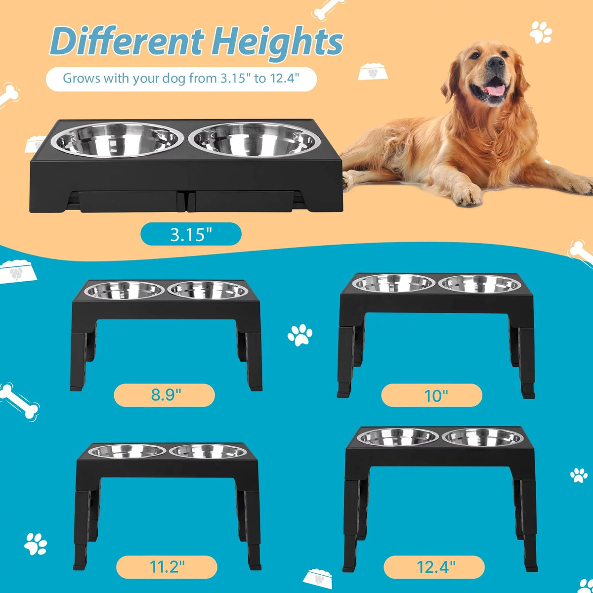 Top 10 Elevated Dog Bowl Stands with Stainless Steel Dishes, back view