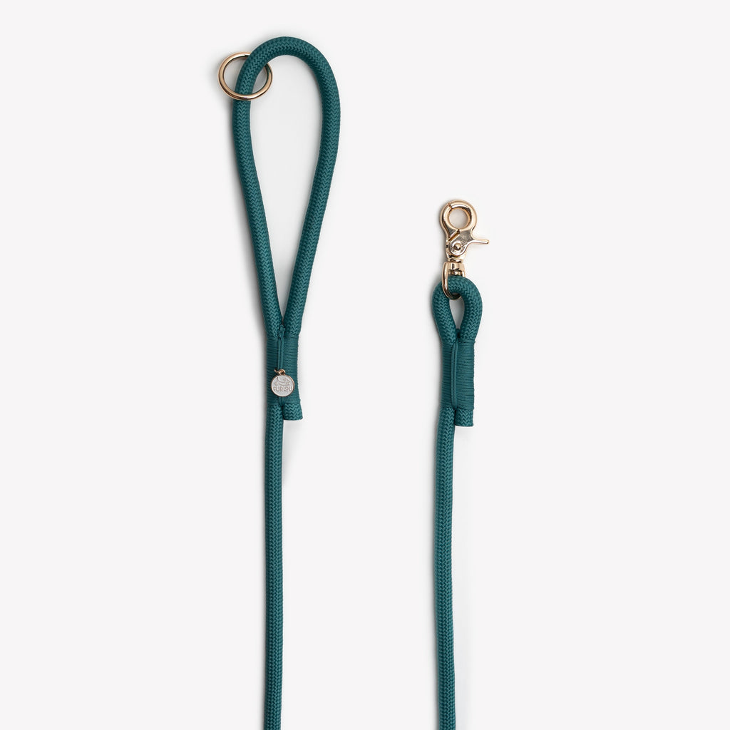 Blue Braided Rope Leash, alternate view