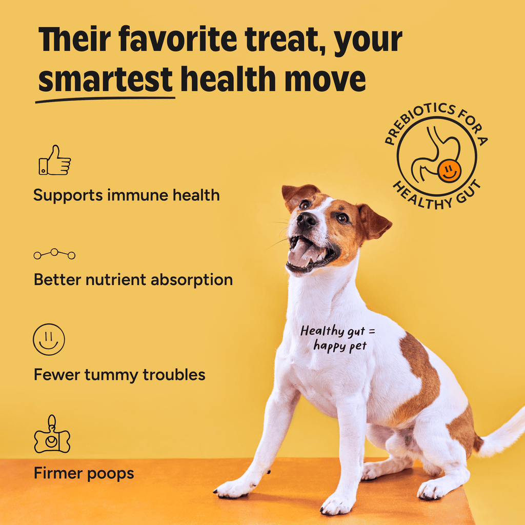 JoyFull Happy Guts Duo prebiotic treats and probiotic packets for dogs – photo 4 of 8