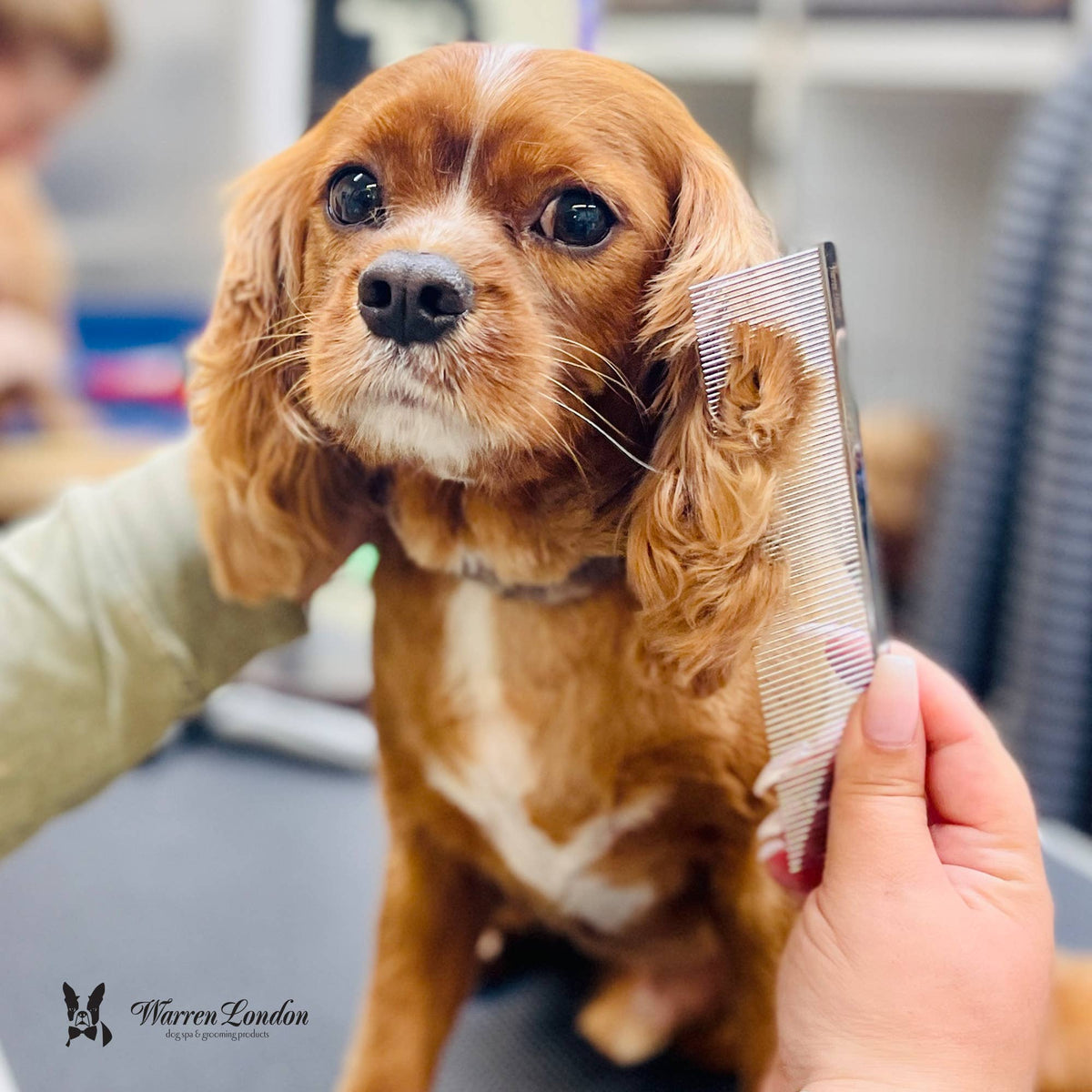 Groomer's Everyday Dog Comb – 7.5 Inch Essential Grooming Tool – alternate view 8