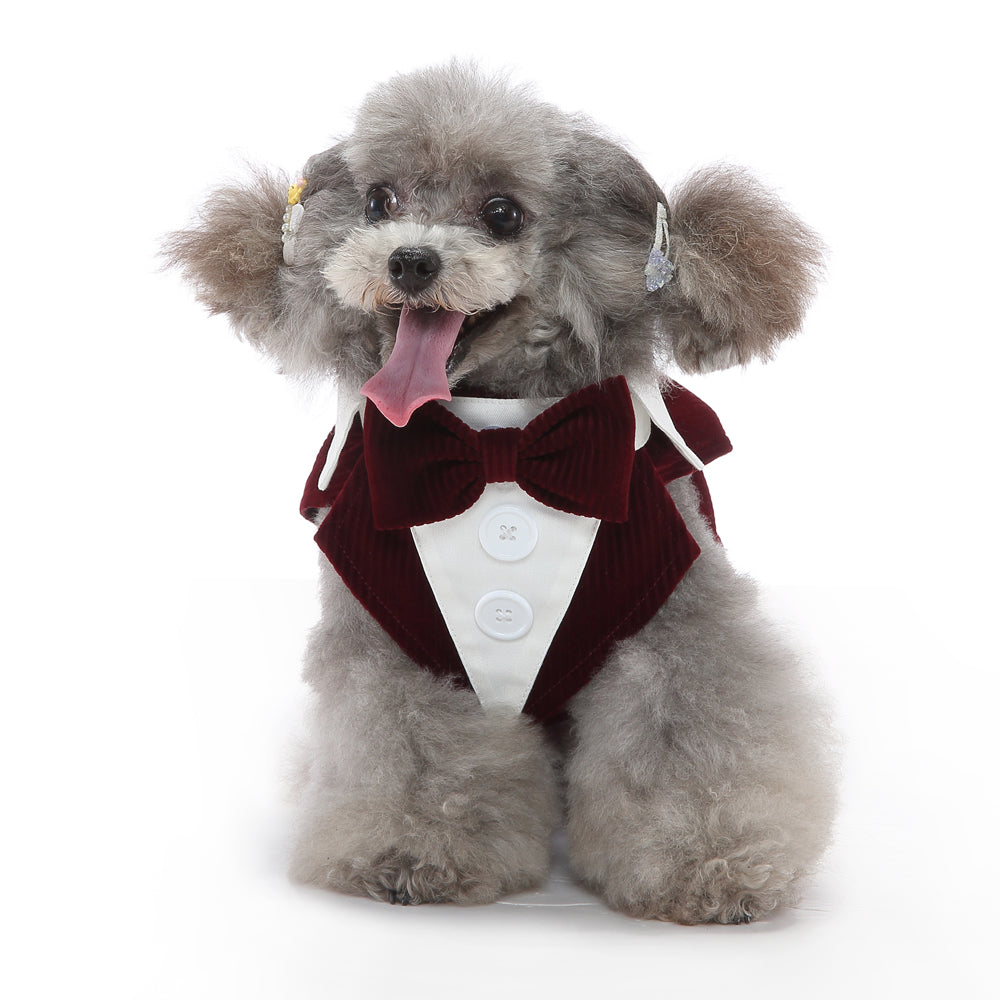 Dog Dress Shirt Tuxedo Outfit Formal Clothing – photo 1 of 18