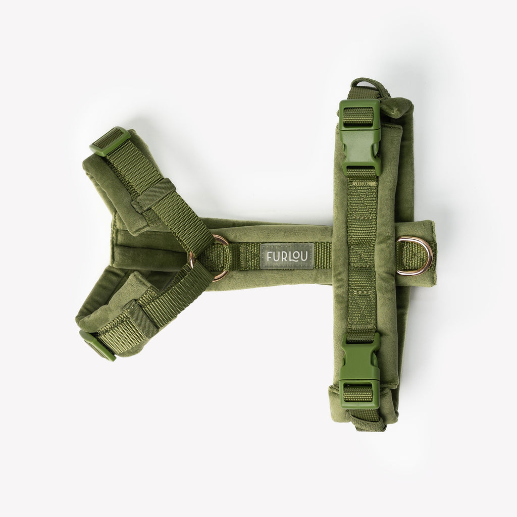 Green Velvet Dog Harness, alternate view
