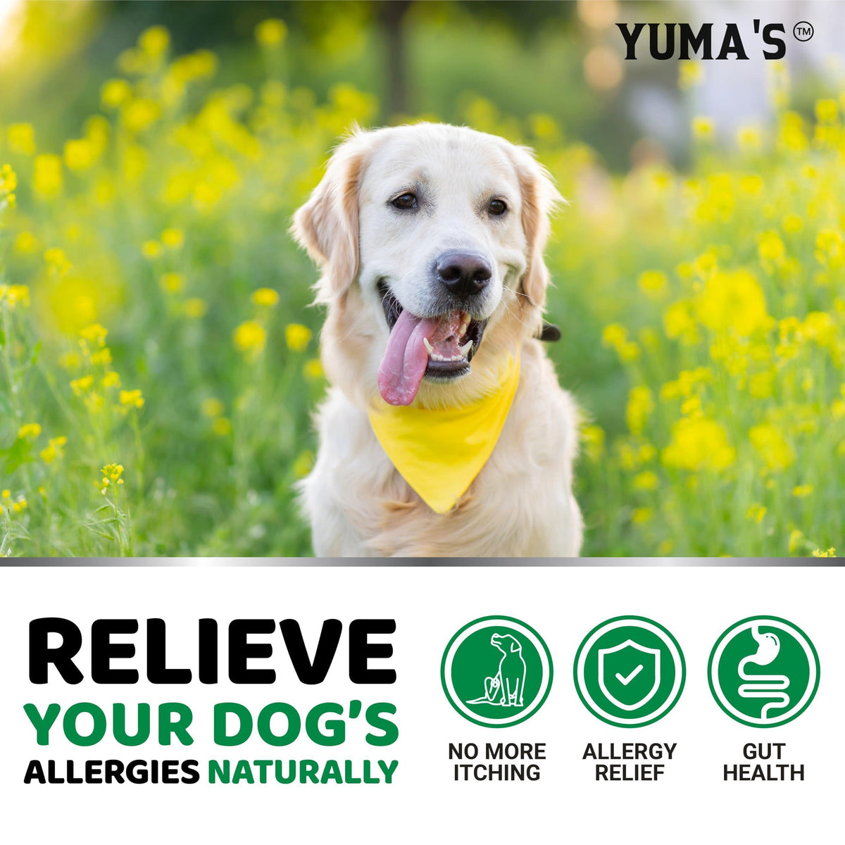 Dog Allergy Relief Chews 170 Count Itchy Skin Relief – photo 4 of 6