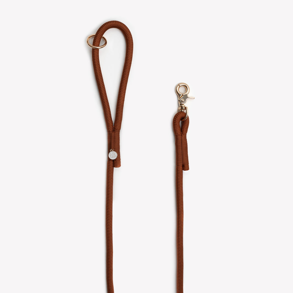 Clay Braided Rope Leash, alternate view