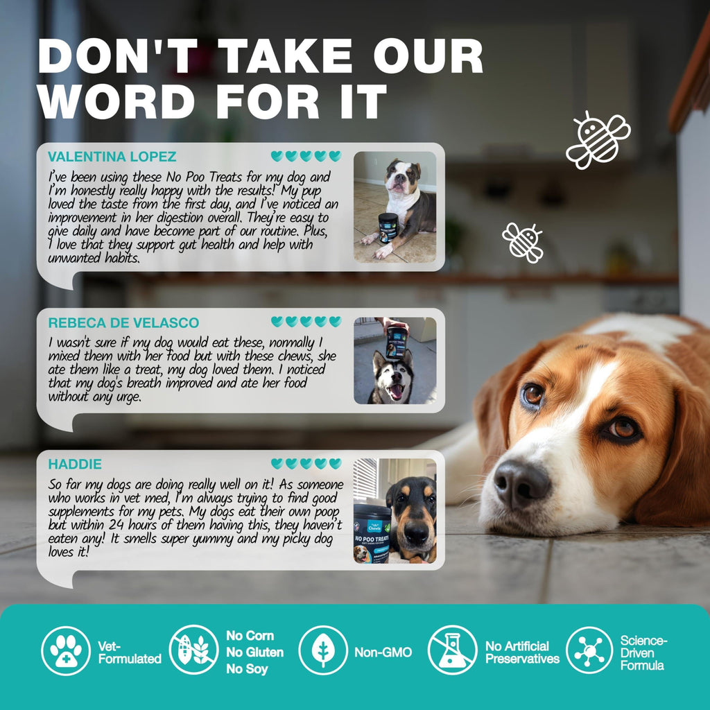 No Poo Chews for Dogs – Coprophagia Deterrent with Probiotics – alternate view 3