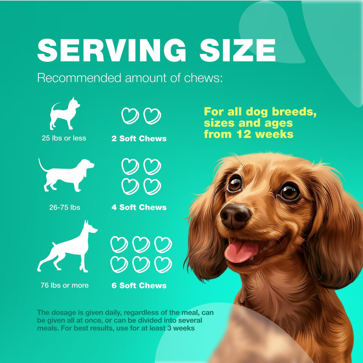 Probiotics for Dogs Digestive Support Pumpkin and Enzymes – photo 7 of 8