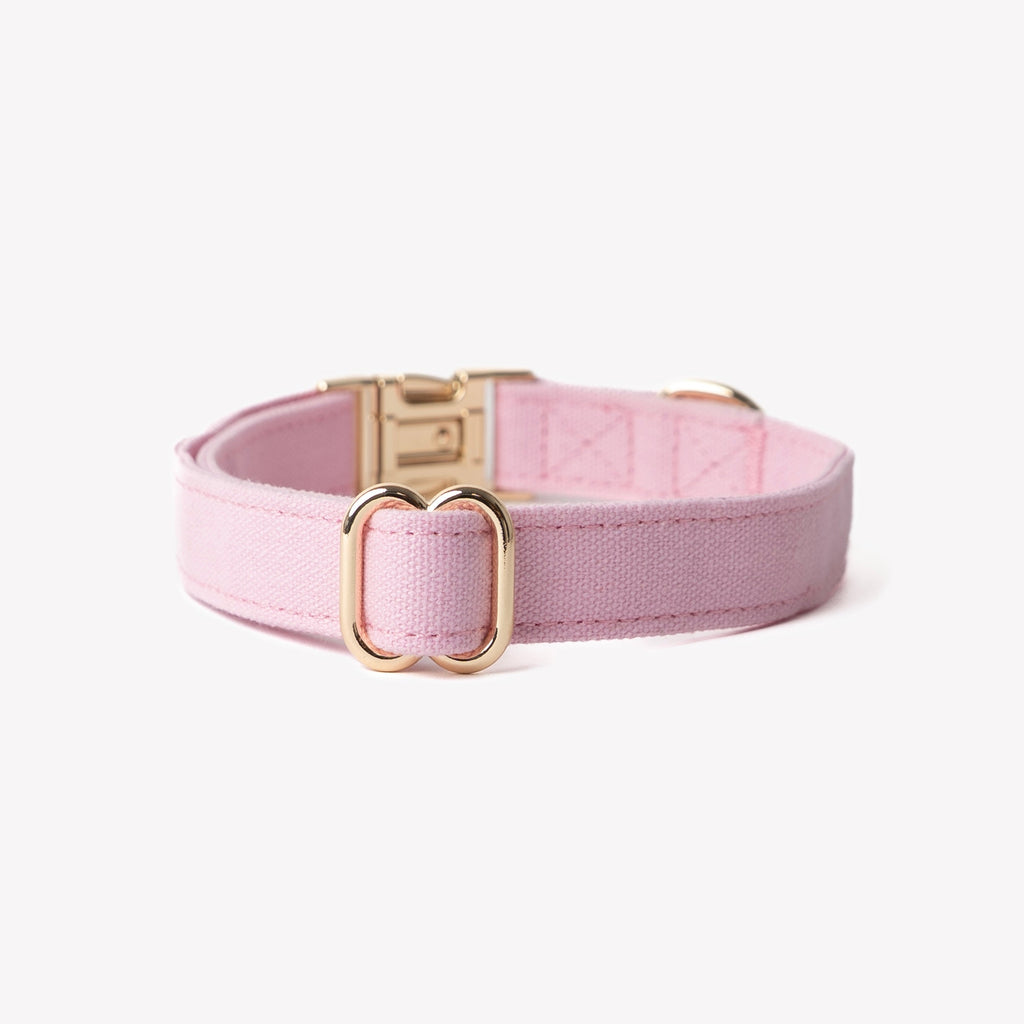 Pink Canvas Dog Collar, alternate view
