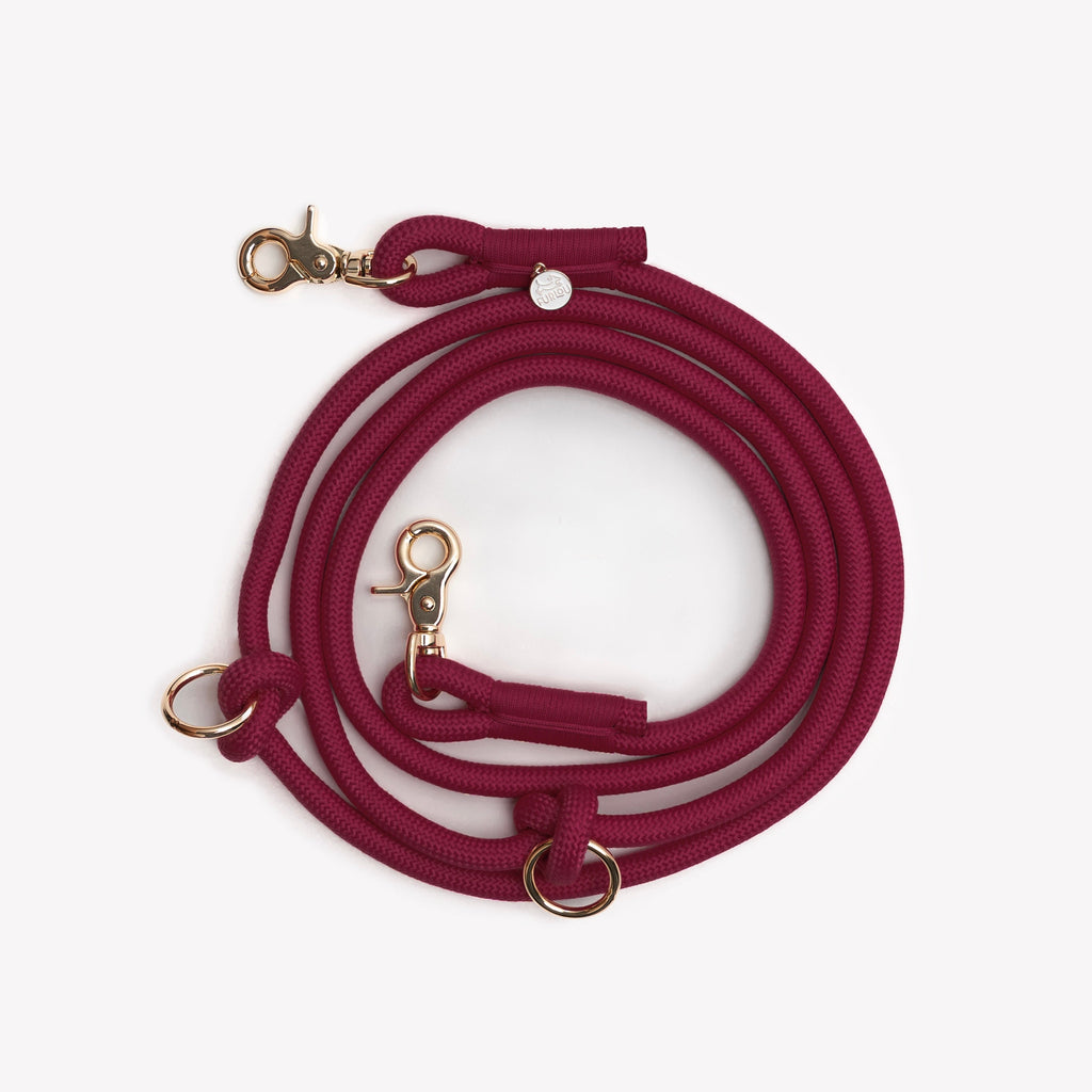 Bordeaux Hands Free Braided Leash, alternate view