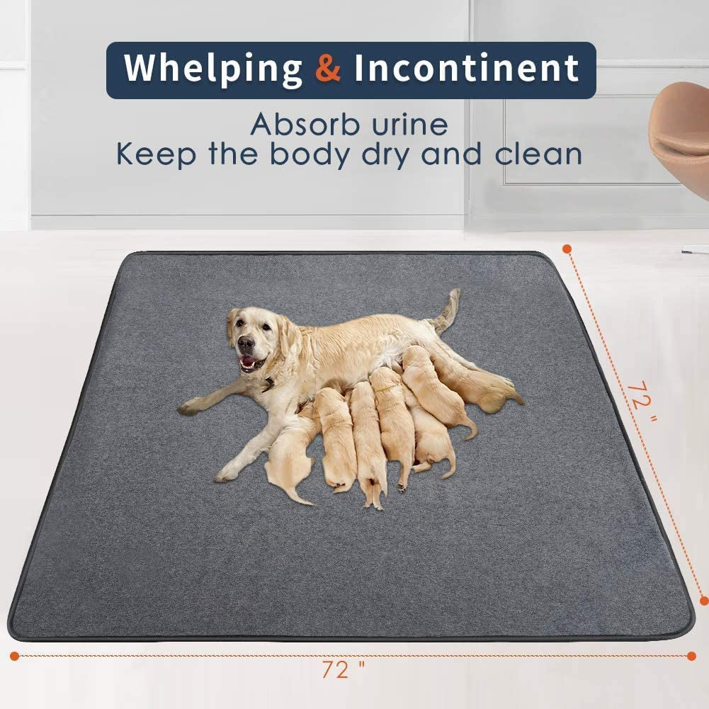 Washable Pee Pads for Dogs, back view