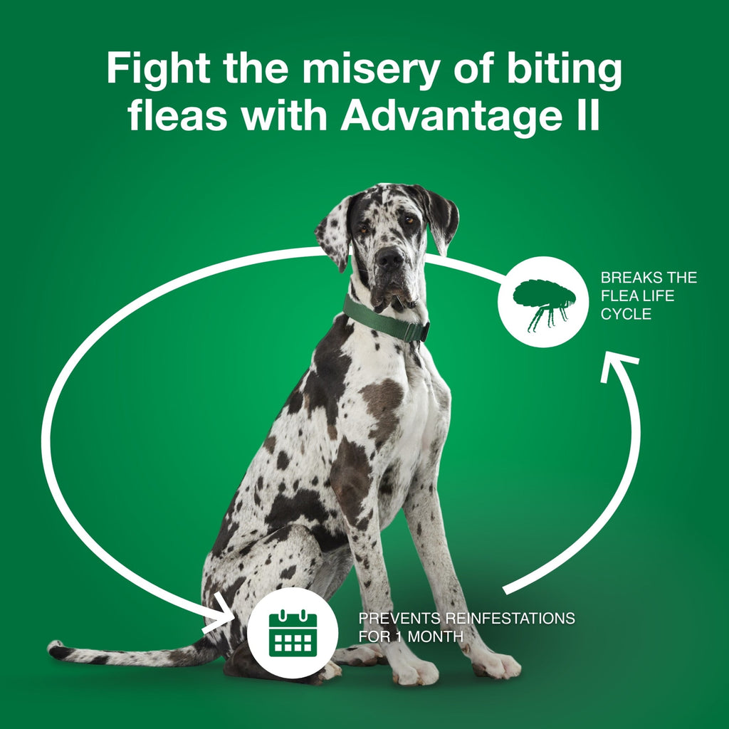 Vet-Recommended Flea Prevention for XL Dogs 55 Lbs 6-Monthly Treatment, detail view