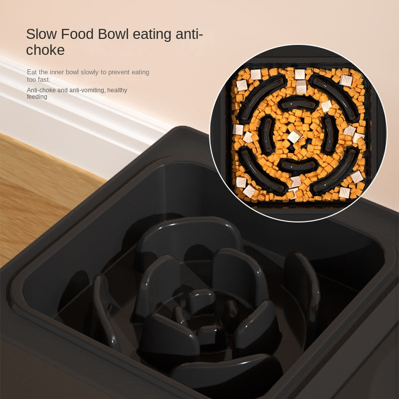 Adjustable Elevated Dog Feeder – Double Stainless Steel Bowls with Stand – alternate view 8