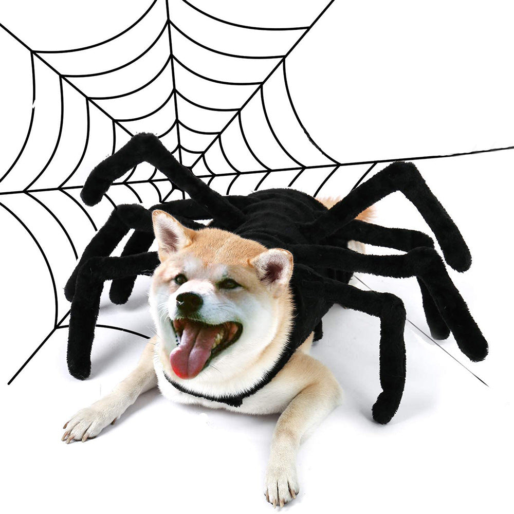 Spider Chest-Back Dog Costume – Halloween – front view