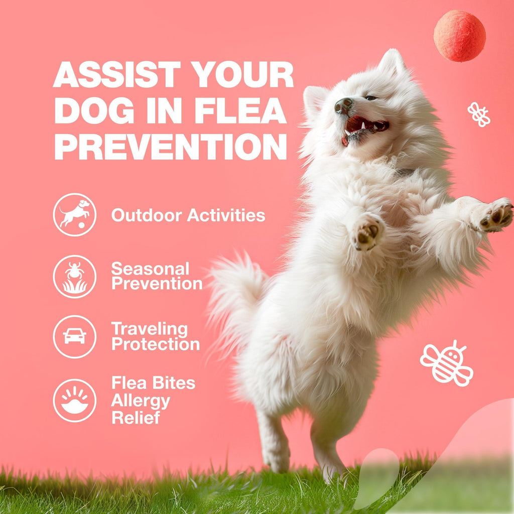 Flea and Tick Support Chews for Dogs Natural Soft Chews – photo 4 of 9