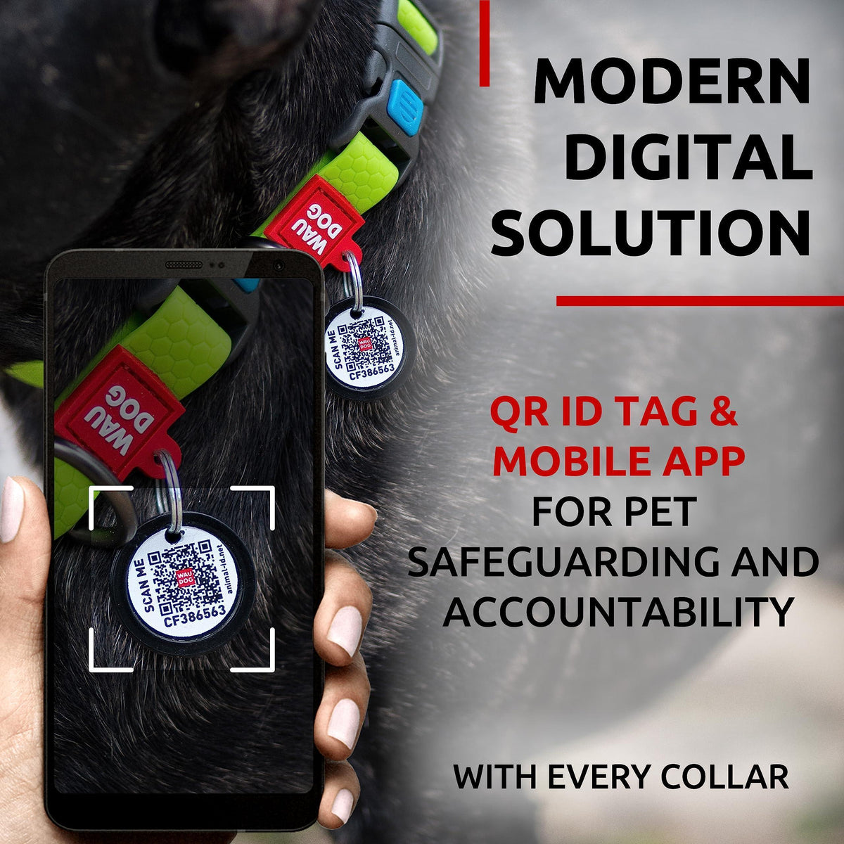 Waterproof Dog Collar Adjustable Medium Dogs Green COLLARTEX – photo 6 of 6