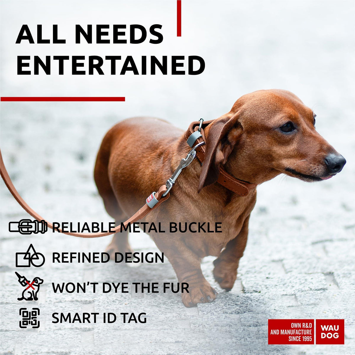 Genuine Leather Dog Collar with Smart QR Tag XSmall – photo 3 of 5