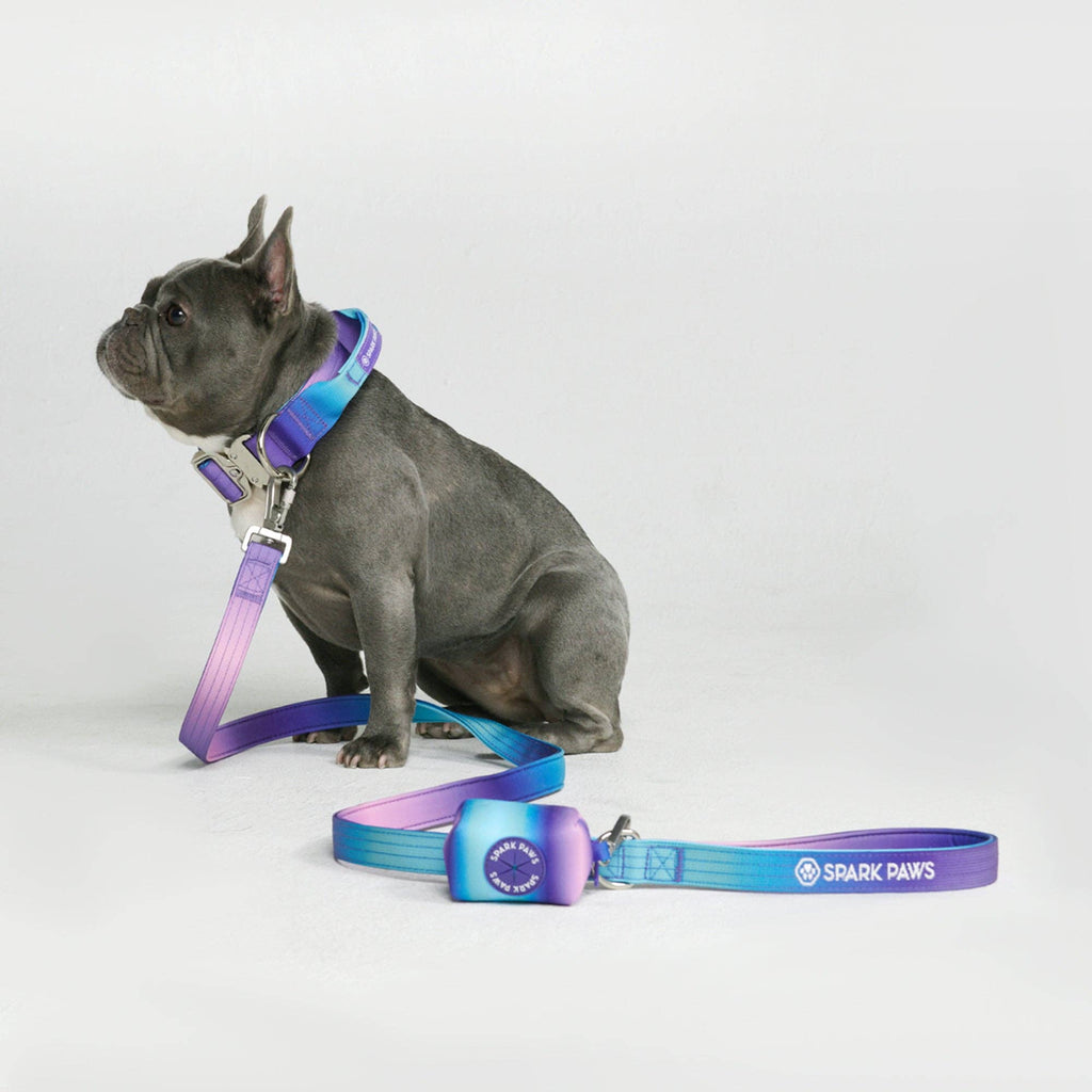 Comfort Control Dog Leash – 90s Retro, OS – alternate view 3