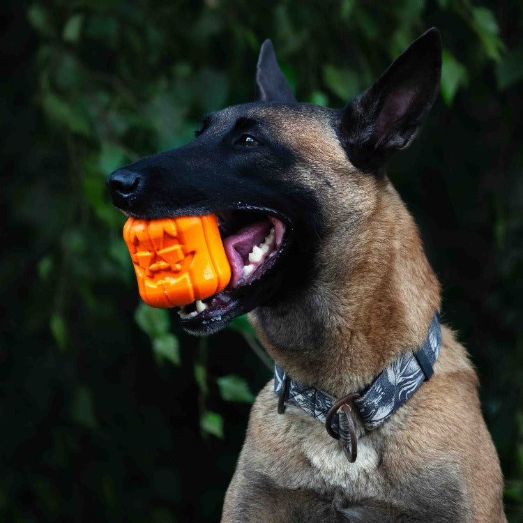 Jack O Lantern Halloween Dog Chew Toy – Large Dogs, USA Made – alternate view 5