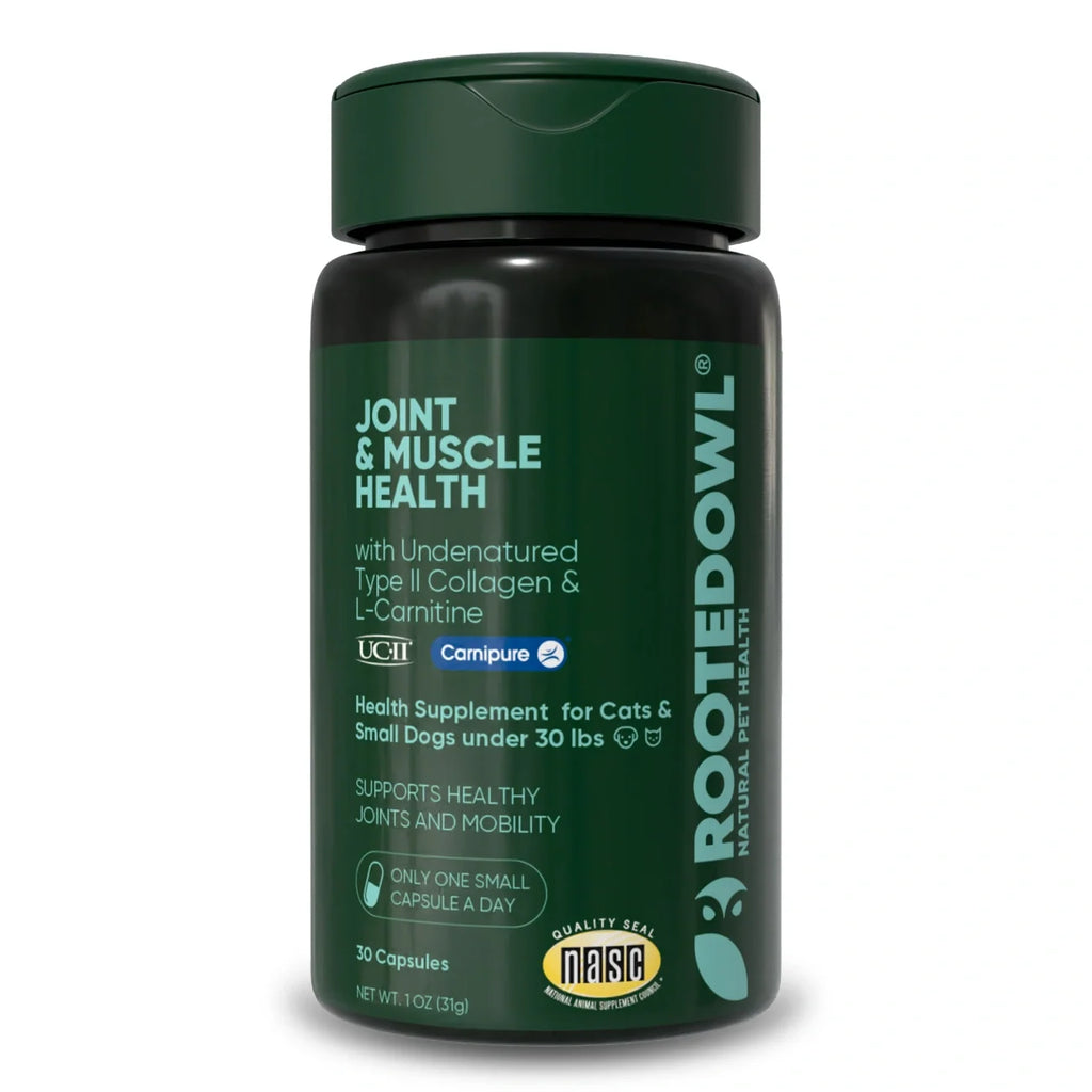 Rooted Owl Joint & Muscle Health capsules with UC-II collagen for small dogs under 30 lb – photo 1 of 9