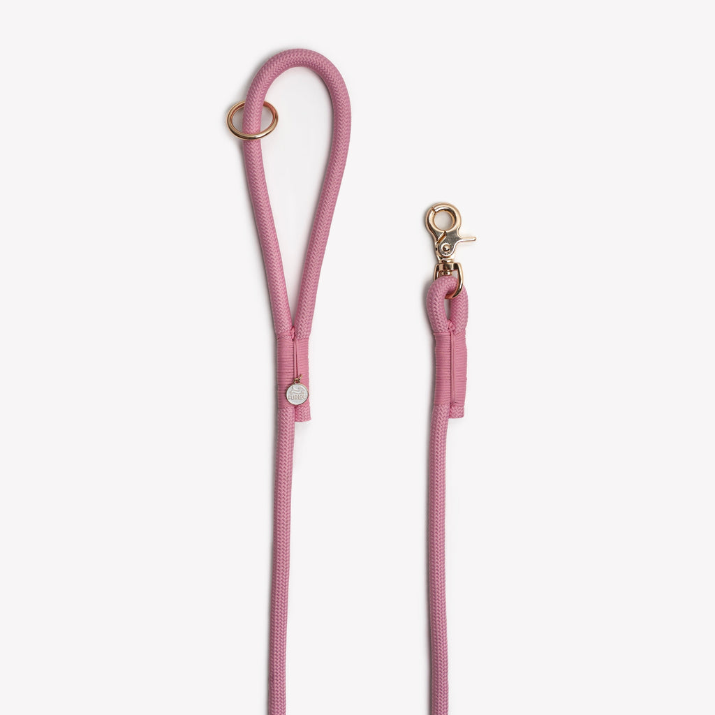 Pink Braided Rope Leash, alternate view
