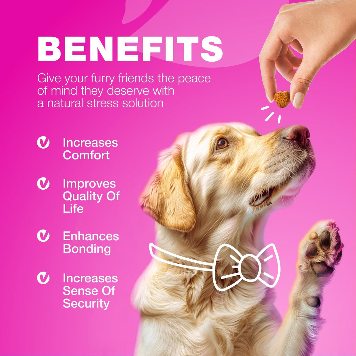 Cranberry bladder support chews for dogs – urinary tract and kidney health supplement – photo 9 of 9