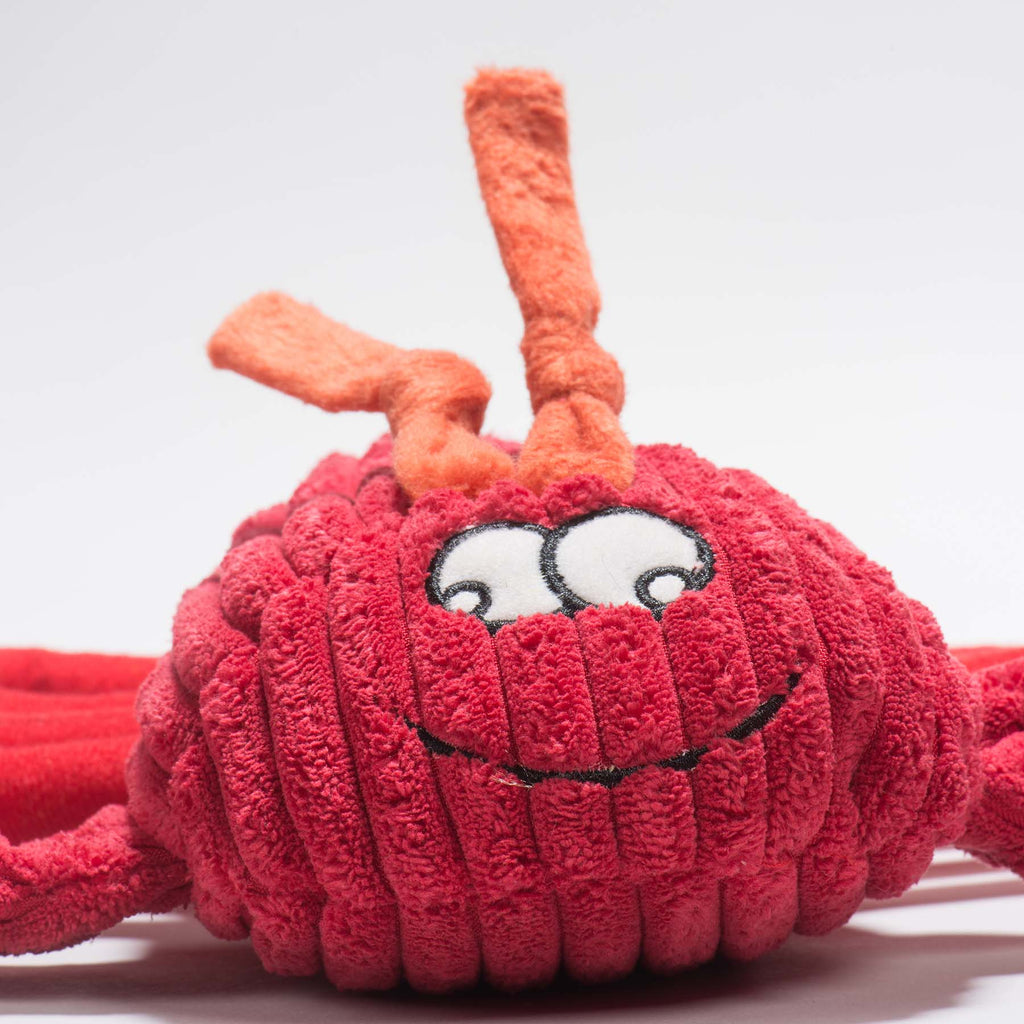 McCraken Lobsta Knottie Plush Dog Toy, side view