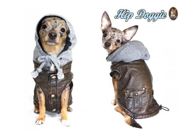 Vintage Bomber Dog Jacket Faux Leather with Fleece Hood – photo 4 of 4
