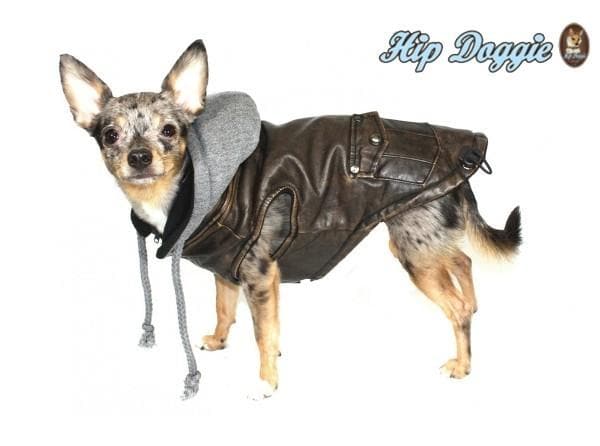 Vintage Bomber Dog Jacket Faux Leather with Fleece Hood – photo 2 of 4