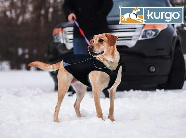 Waterproof North Country Dog Coat with LED Safety Light – photo 1 of 5