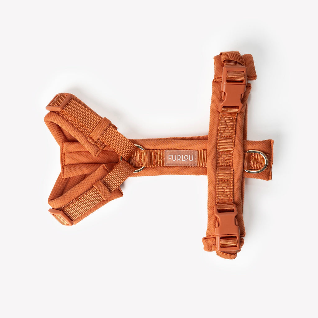 Terracotta Comfort Dog Harness, alternate view