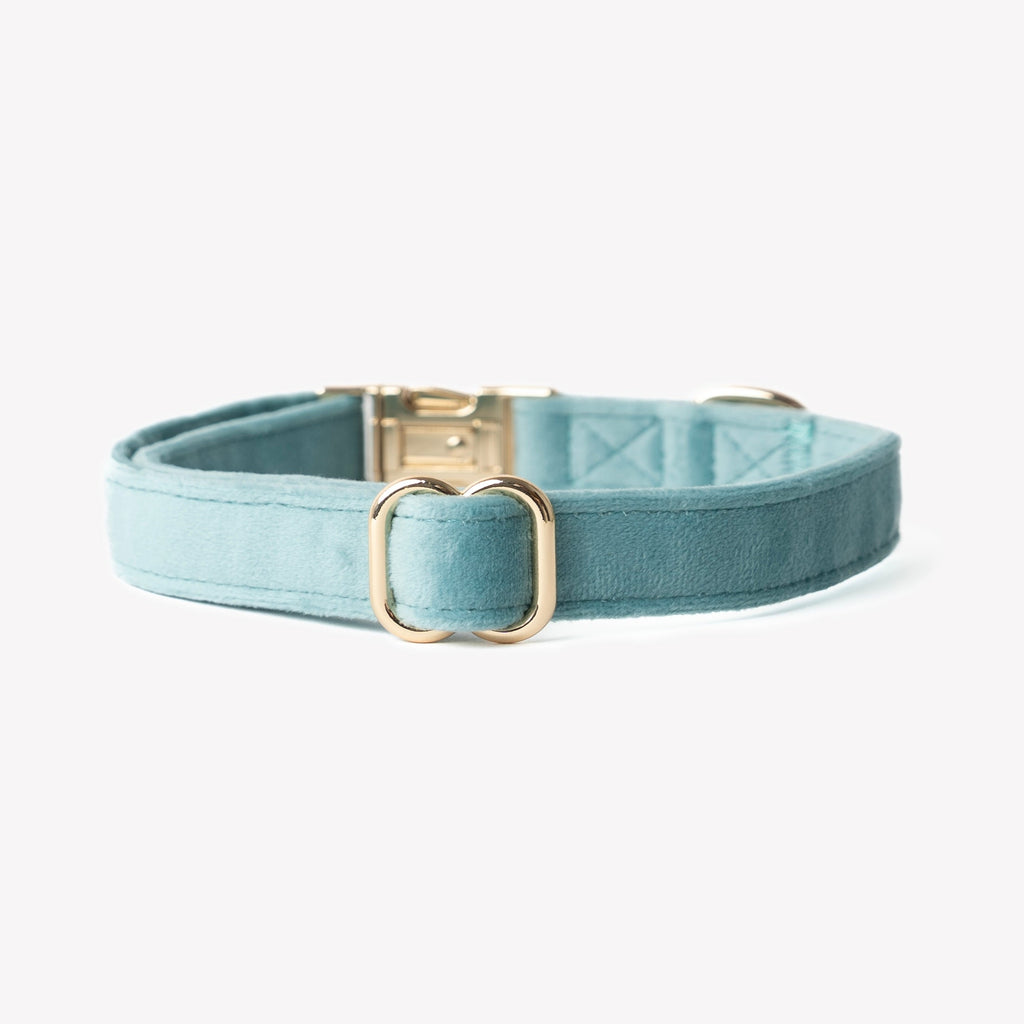 Blue Velvet Dog Collar, alternate view