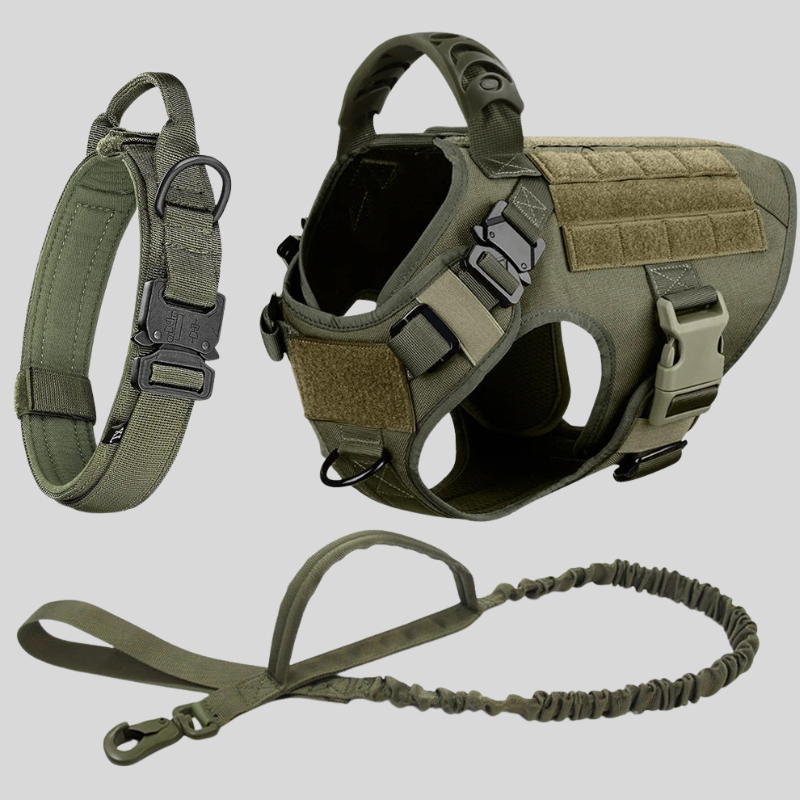Large Dog Harness & Leash Set – Training Vest for Big Breeds – alternate view 4