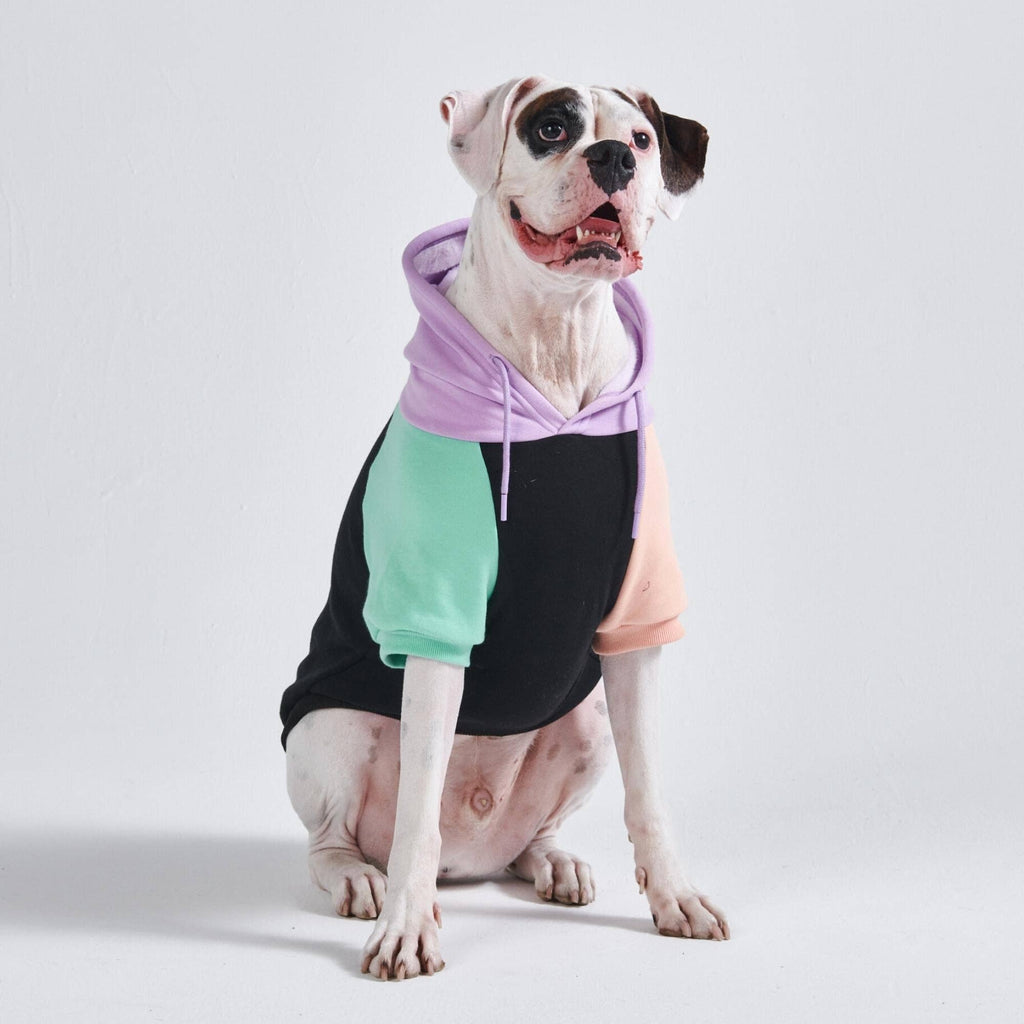 Cyber Punk Dog Hoodie – alternate view 6