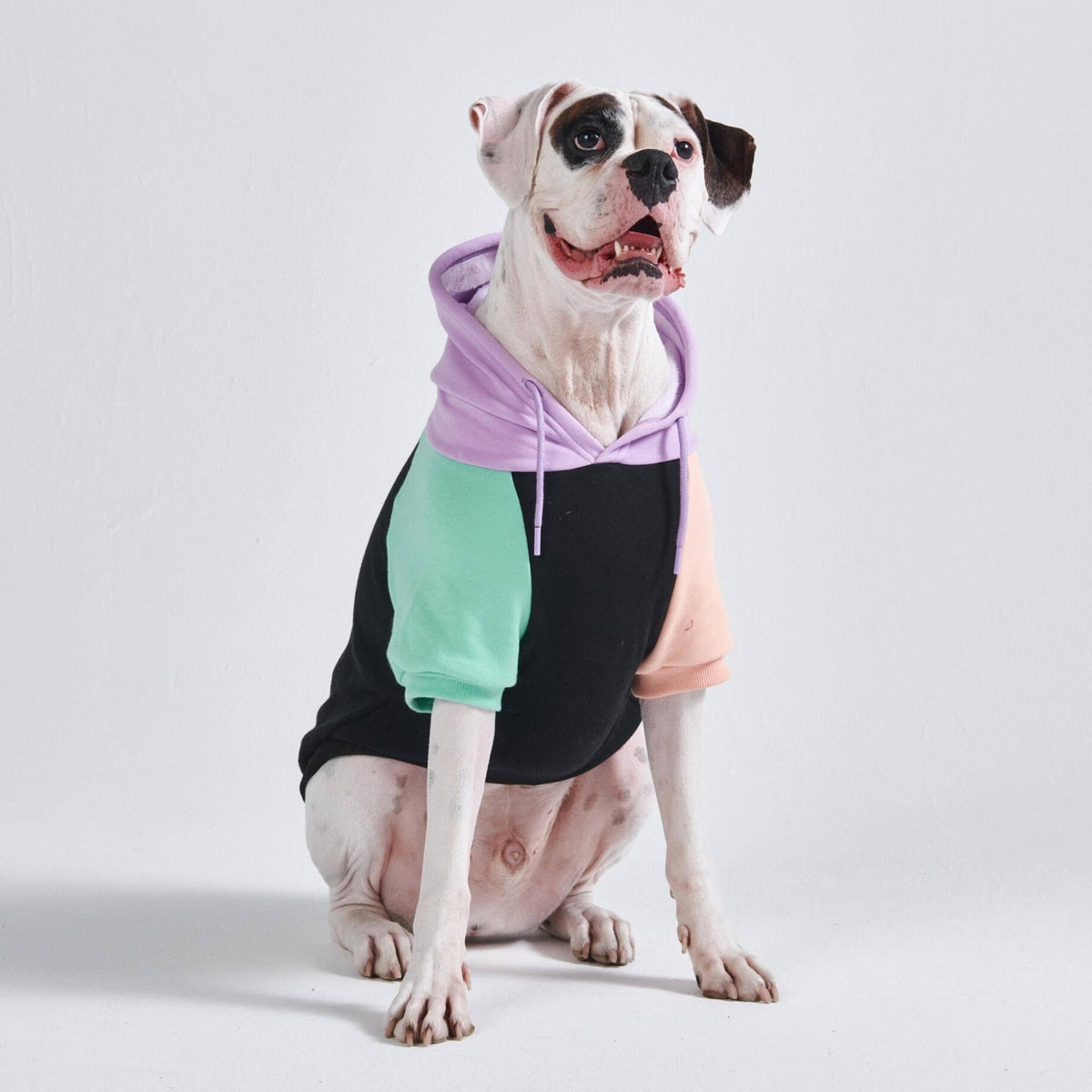 Cyber Punk Dog Hoodie – alternate view 6