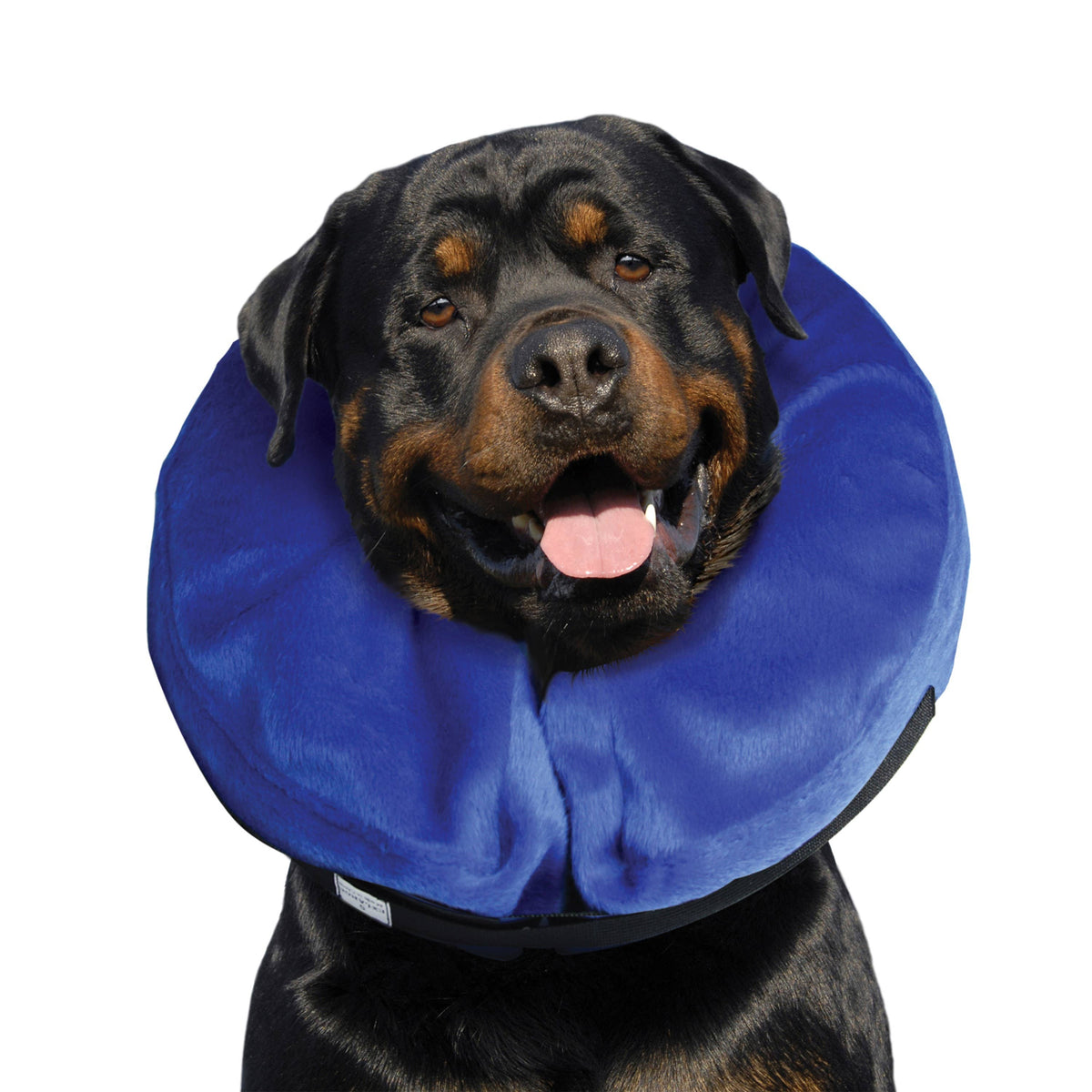 KONG® E-Collar Cloud® XL – alternate view 4