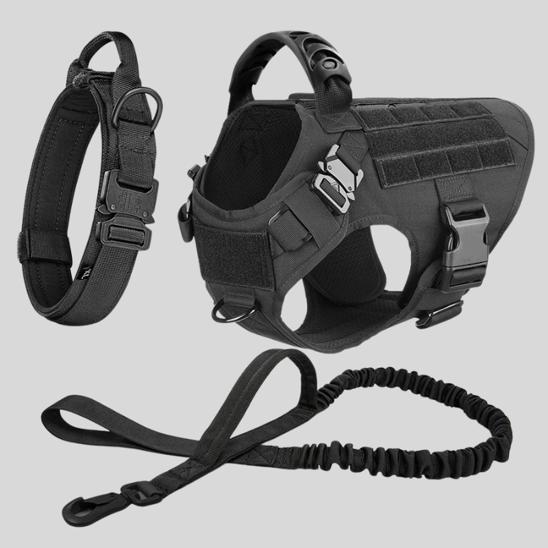 Large Dog Harness & Leash Set – Training Vest for Big Breeds – front view